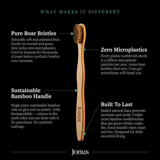 Natural Bamboo Toothbrush with Pig or Horse Hair Bristles