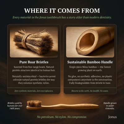 Natural Bamboo Toothbrush with Pig or Horse Hair Bristles